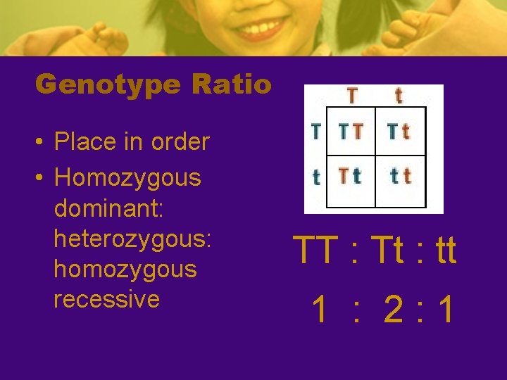 Genotype Ratio • Place in order • Homozygous dominant: heterozygous: homozygous recessive TT :