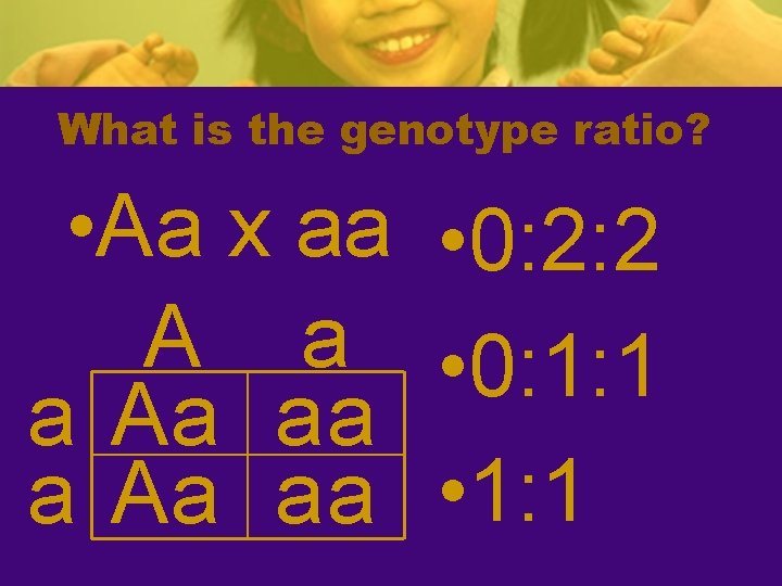 What is the genotype ratio? • Aa x aa • 0: 2: 2 A