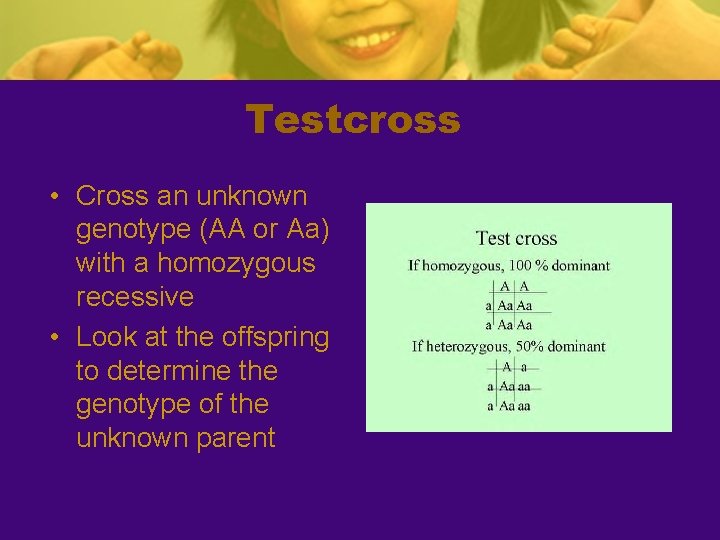 Testcross • Cross an unknown genotype (AA or Aa) with a homozygous recessive •
