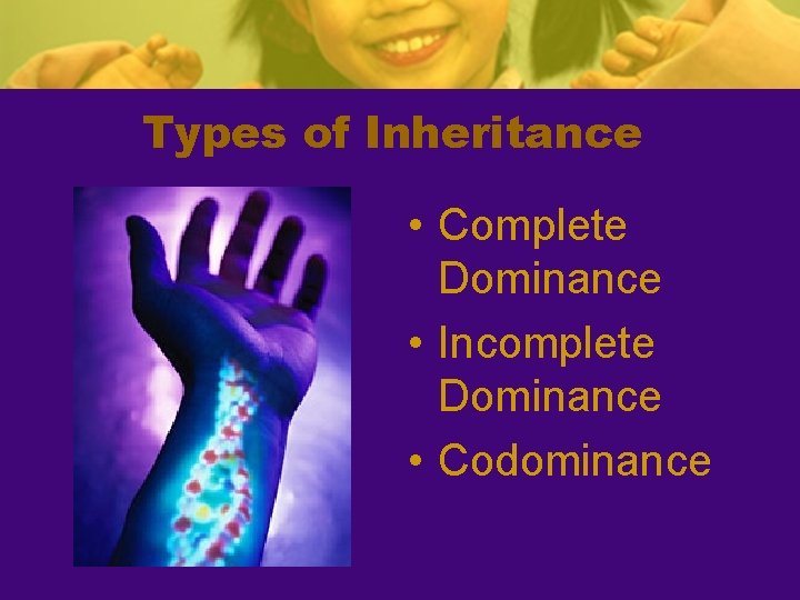 Types of Inheritance • Complete Dominance • Incomplete Dominance • Codominance 