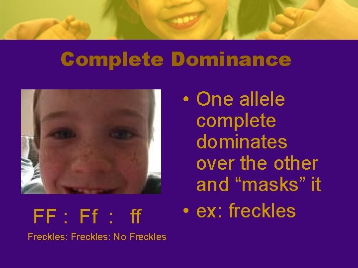 Complete Dominance FF : Ff : ff Freckles: No Freckles • One allele complete