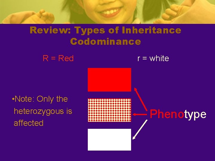 Review: Types of Inheritance Codominance R = Red r = white Red RR •