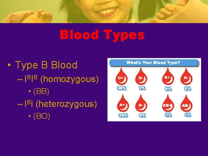 Blood Types • Type B Blood – IBIB (homozygous) • (BB) – IBi (heterozygous)