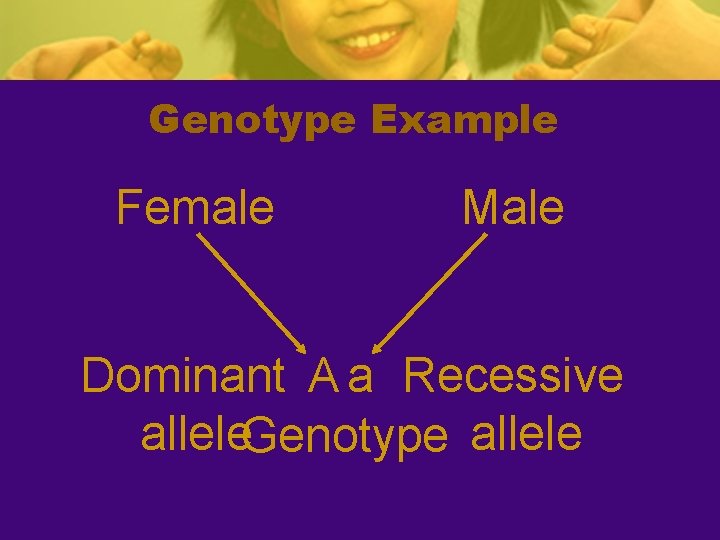 Genotype Example Female Male Dominant A a Recessive allele. Genotype allele 
