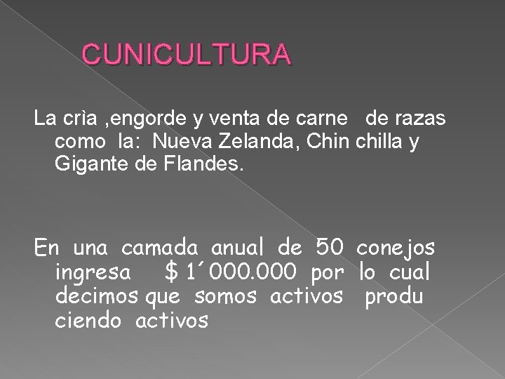 CUNICULTURA La crìa , engorde y venta de carne de razas como la: Nueva