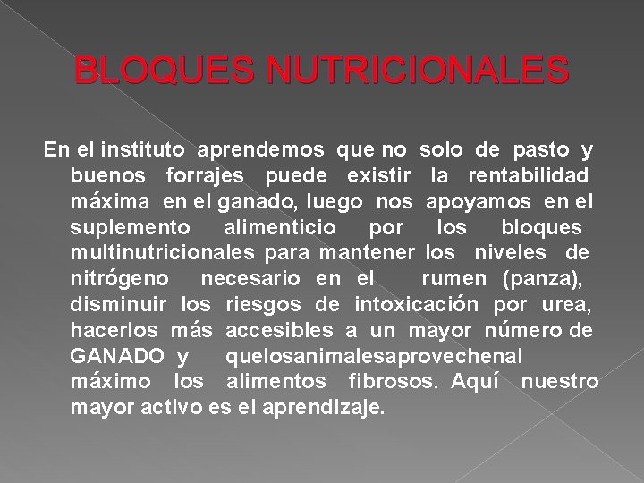 BLOQUES NUTRICIONALES En el instituto aprendemos que no solo de pasto y buenos forrajes