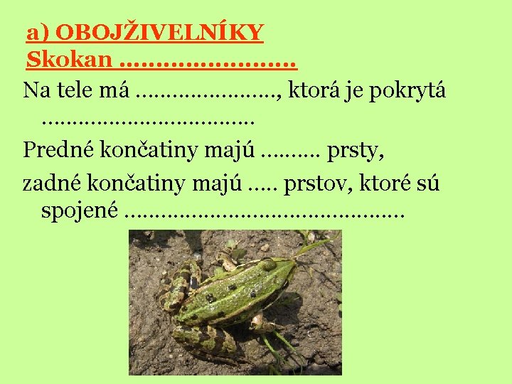 a) OBOJŽIVELNÍKY Skokan …. . . . . Na tele má …. . .