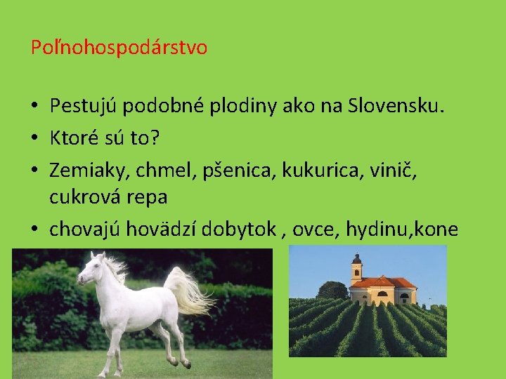 Poľnohospodárstvo • Pestujú podobné plodiny ako na Slovensku. • Ktoré sú to? • Zemiaky,