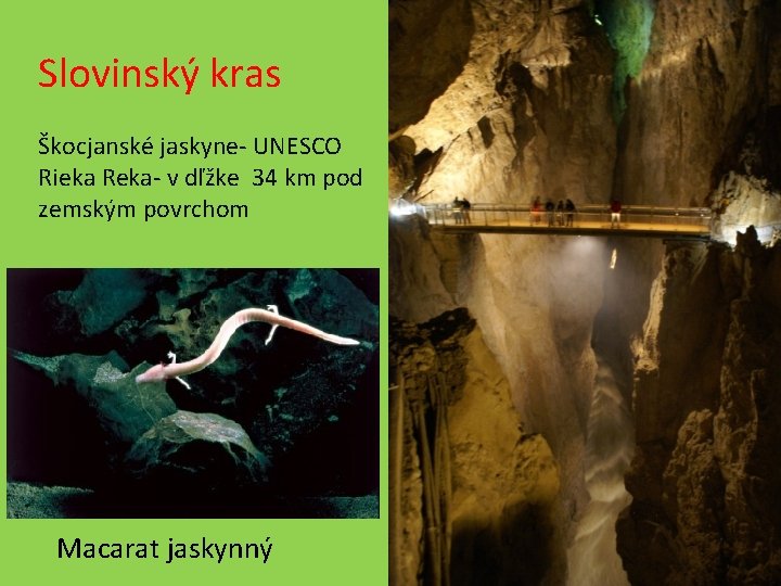 Slovinský kras Škocjanské jaskyne- UNESCO Rieka Reka- v dľžke 34 km pod zemským povrchom