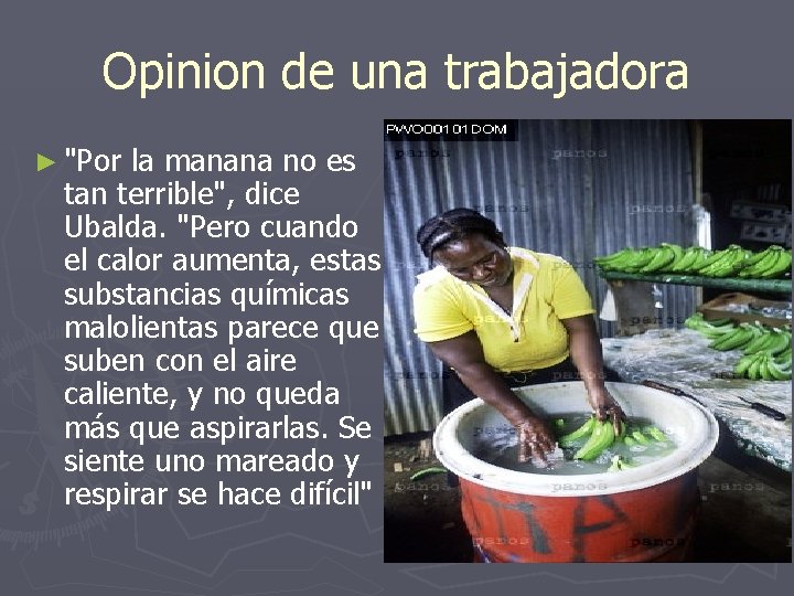 Opinion de una trabajadora ► "Por la manana no es tan terrible", dice Ubalda.