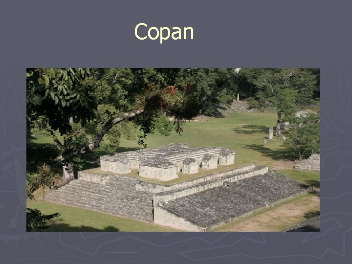 Copan 