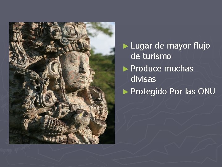 ► Lugar de mayor flujo de turismo ► Produce muchas divisas ► Protegido Por