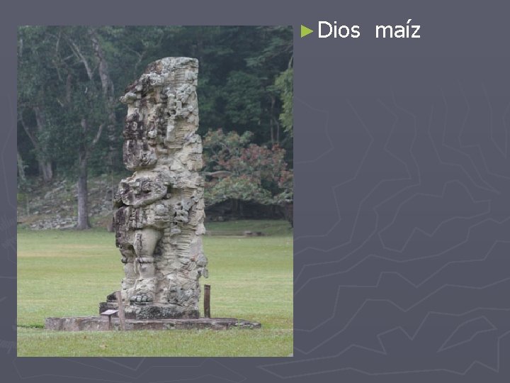 ► Dios maíz 