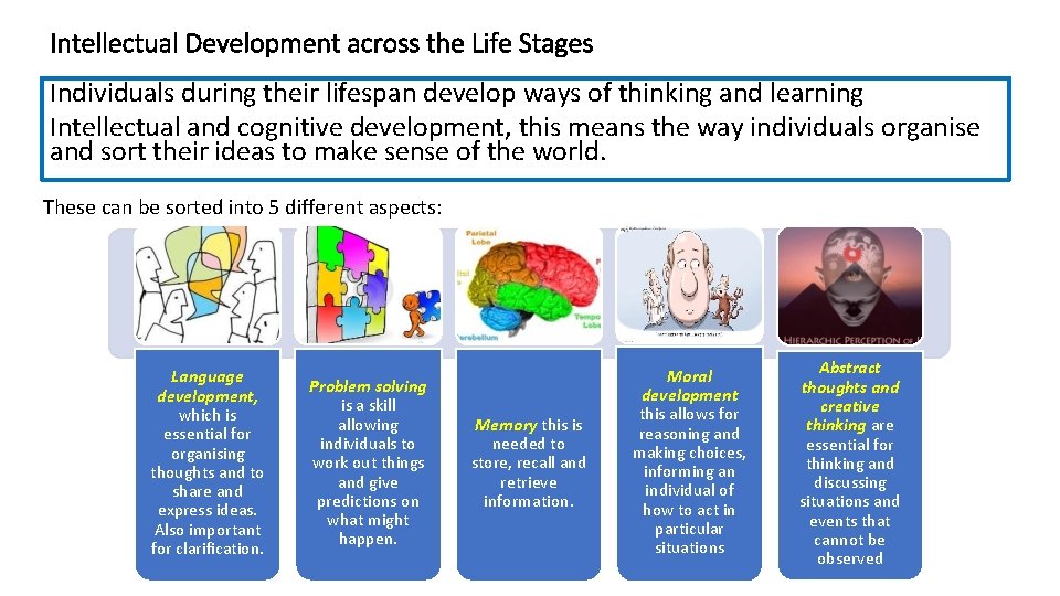 Intellectual Development across the Life Stages Individuals during their lifespan develop ways of thinking