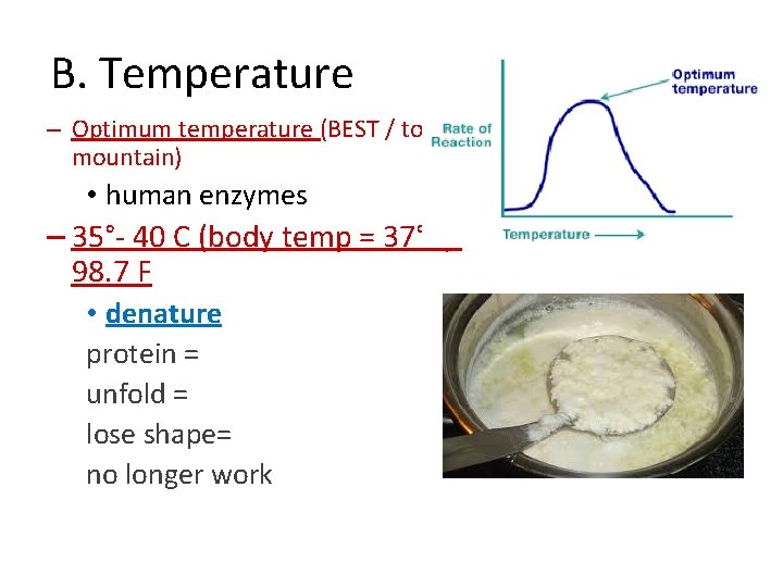 B. Temperature – Optimum temperature (BEST / top of mountain) • human enzymes –