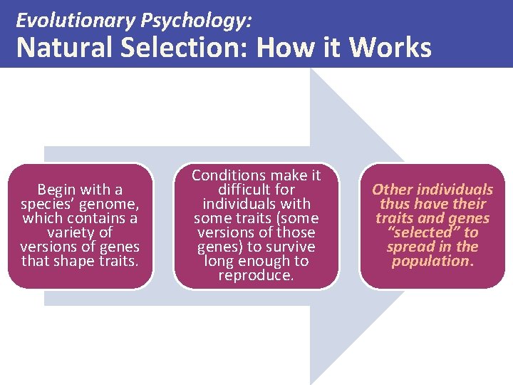 Evolutionary Psychology: Natural Selection: How it Works Begin with a species’ genome, which contains