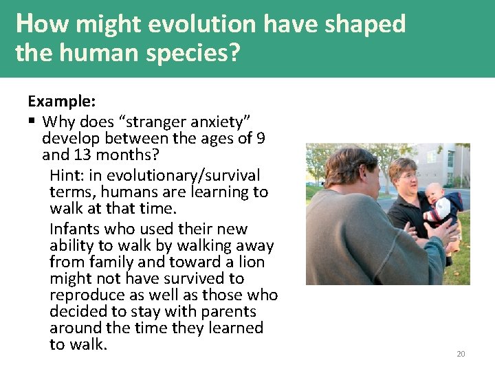 How might evolution have shaped the human species? Example: § Why does “stranger anxiety”