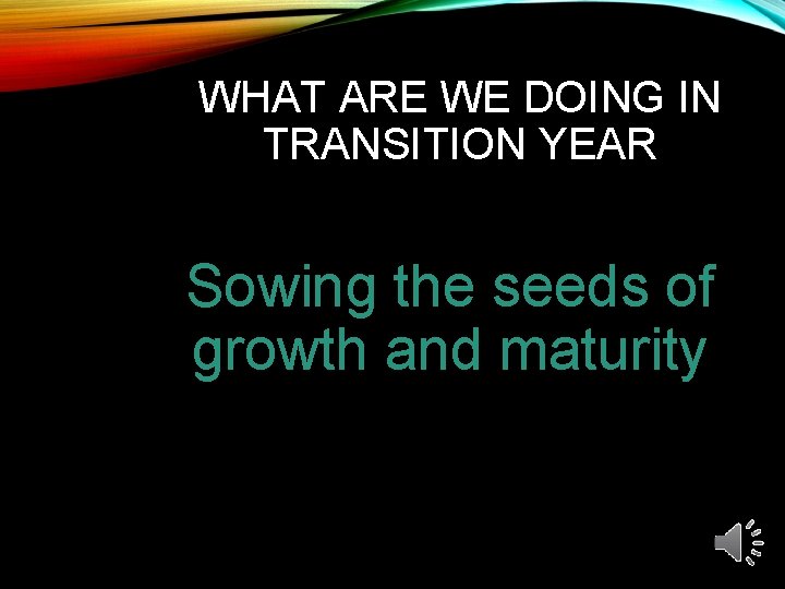 WHAT ARE WE DOING IN TRANSITION YEAR Sowing the seeds of growth and maturity