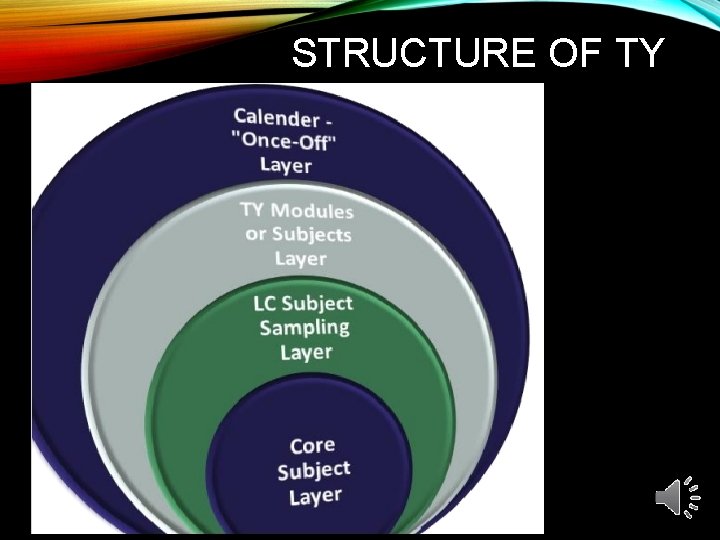 STRUCTURE OF TY 