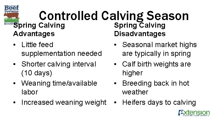 Controlled Calving Season Spring Calving Advantages • Little feed supplementation needed • Shorter calving