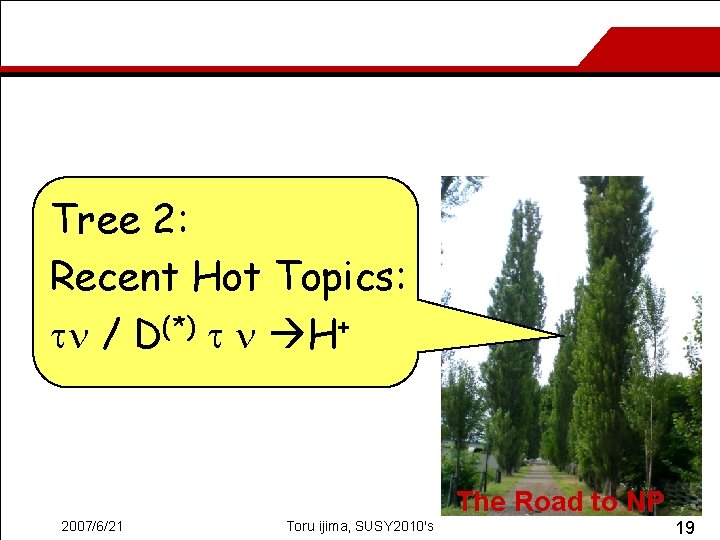 Tree 2: Recent Hot Topics: tn / D(*) t n H+ The Road to