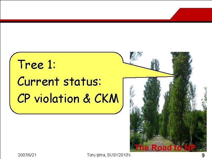 Tree 1: Current status: CP violation & CKM The Road to NP 2007/6/21 Toru