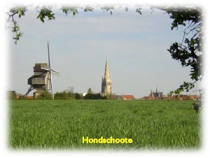 Hondschoote 