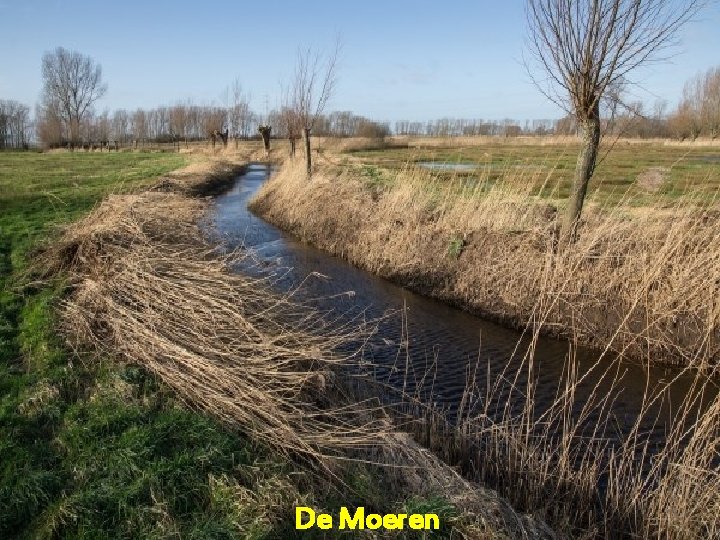 De Moeren 