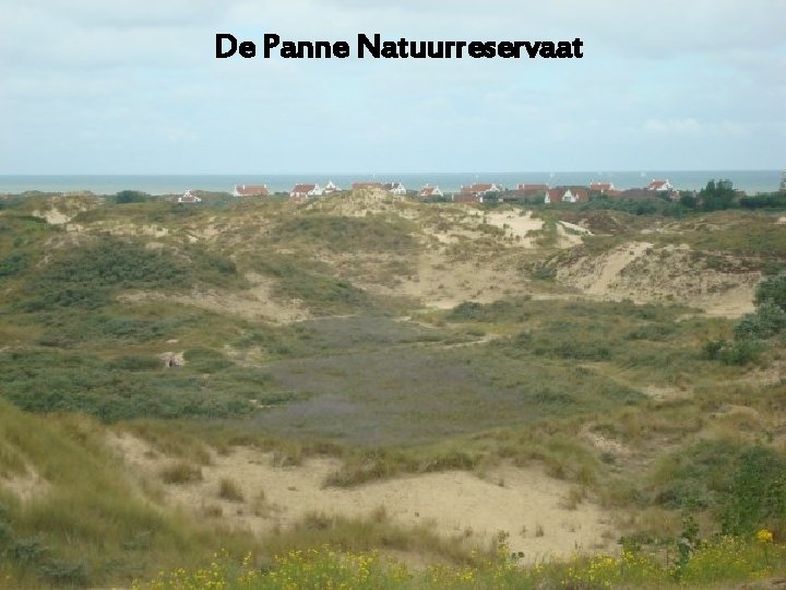 De Panne Natuurreservaat 