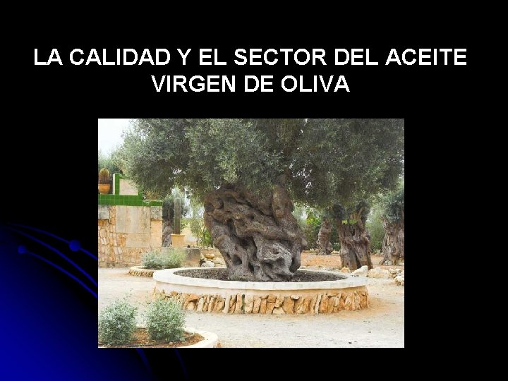 LA CALIDAD Y EL SECTOR DEL ACEITE VIRGEN DE OLIVA 