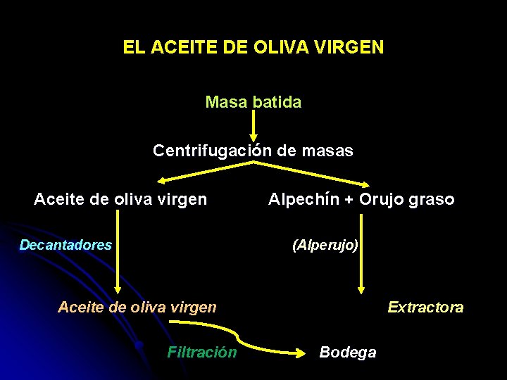 EL ACEITE DE OLIVA VIRGEN Masa batida Centrifugación de masas Aceite de oliva virgen