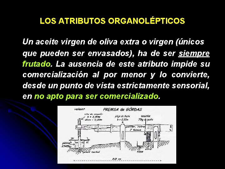 LOS ATRIBUTOS ORGANOLÉPTICOS Un aceite virgen de oliva extra o virgen (únicos que pueden