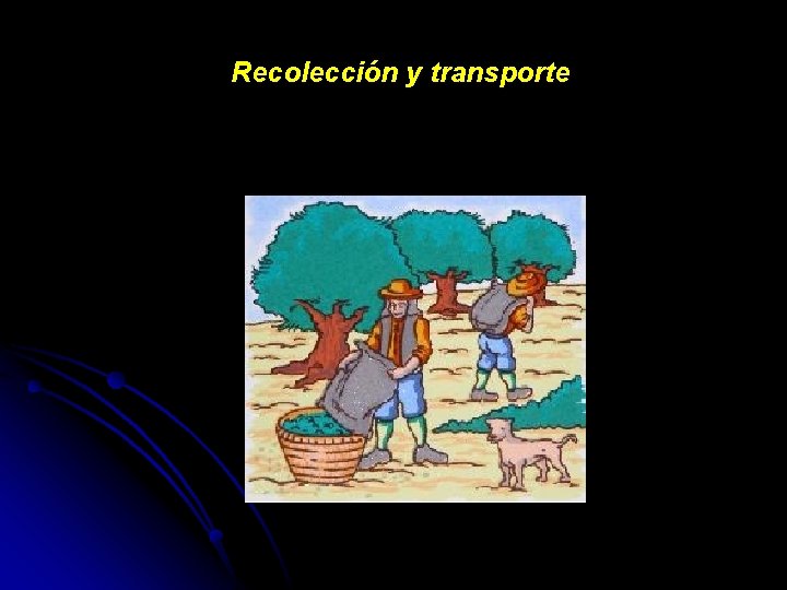 Recolección y transporte 