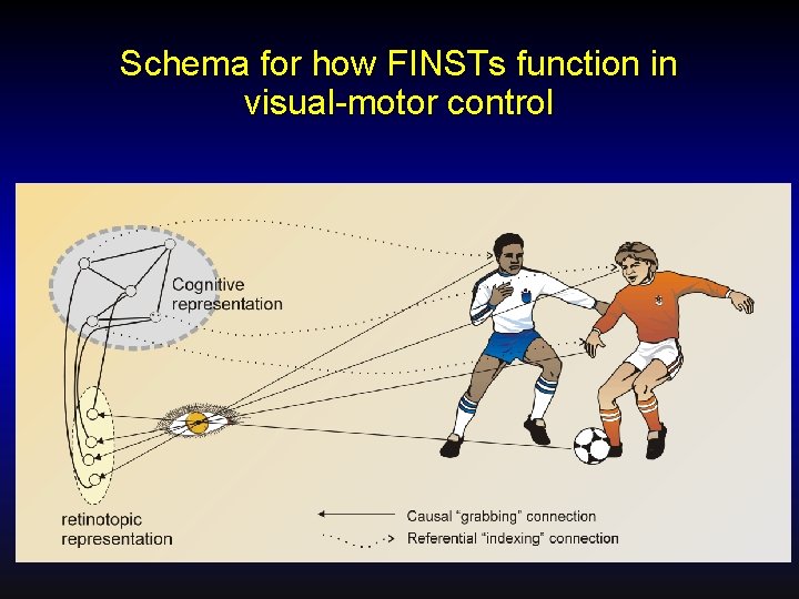 Schema for how FINSTs function in visual-motor control 