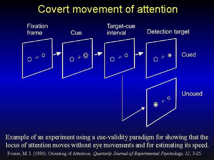 Covert movement of attention Example of an experiment using a cue-validity paradigm for showing