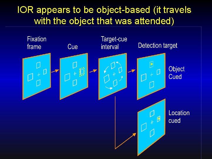 IOR appears to be object-based (it travels with the object that was attended) 