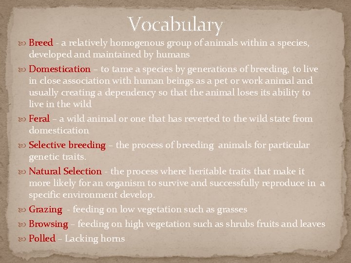 Vocabulary Breed - a relatively homogenous group of animals within a species, developed and