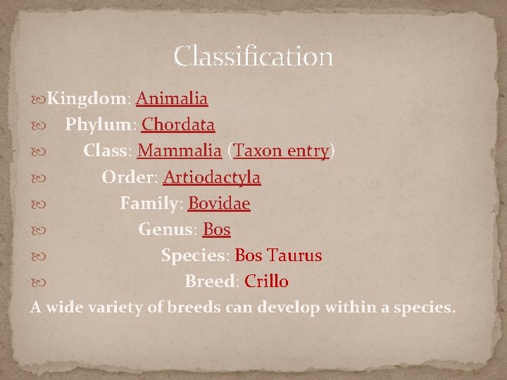 Classification Kingdom: Animalia Phylum: Chordata Class: Mammalia (Taxon entry) Order: Artiodactyla Family: Bovidae Genus: