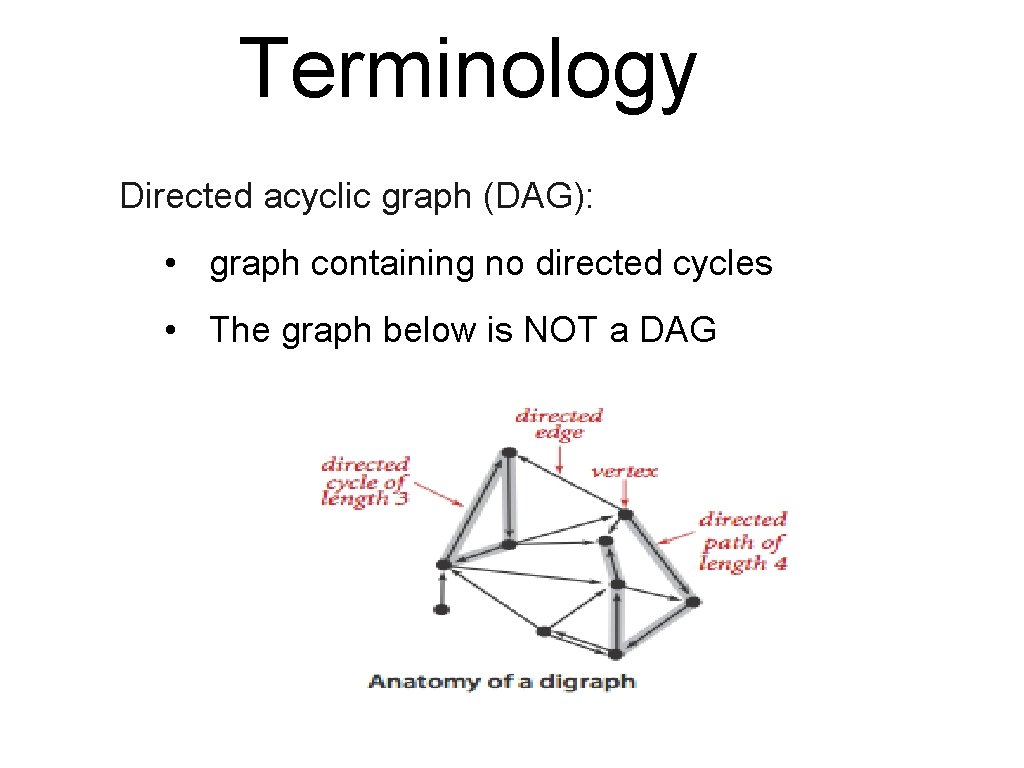 Terminology Directed acyclic graph (DAG): • graph containing no directed cycles • The graph
