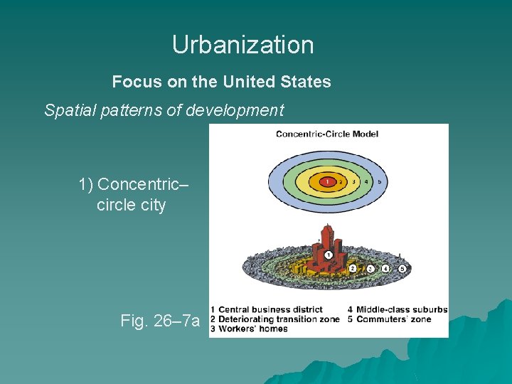 Urbanization Focus on the United States Spatial patterns of development 1) Concentric– circle city