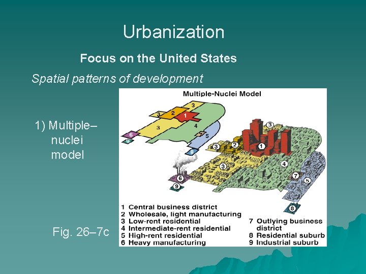 Urbanization Focus on the United States Spatial patterns of development 1) Multiple– nuclei model