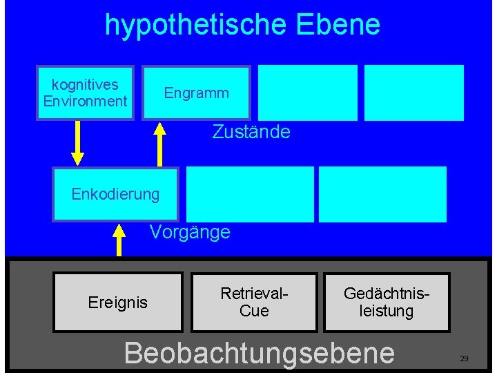 hypothetische Ebene kognitives Environment Engramm ekphorische Information rekollektive Erfahrung Zustände Enkodierung Ekphorie Umwandlung Vorgänge