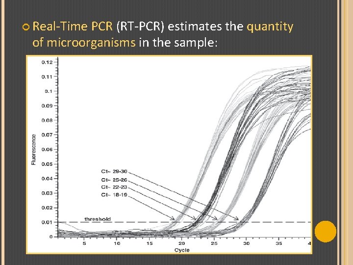  Real-Time PCR (RT-PCR) estimates the quantity of microorganisms in the sample: 