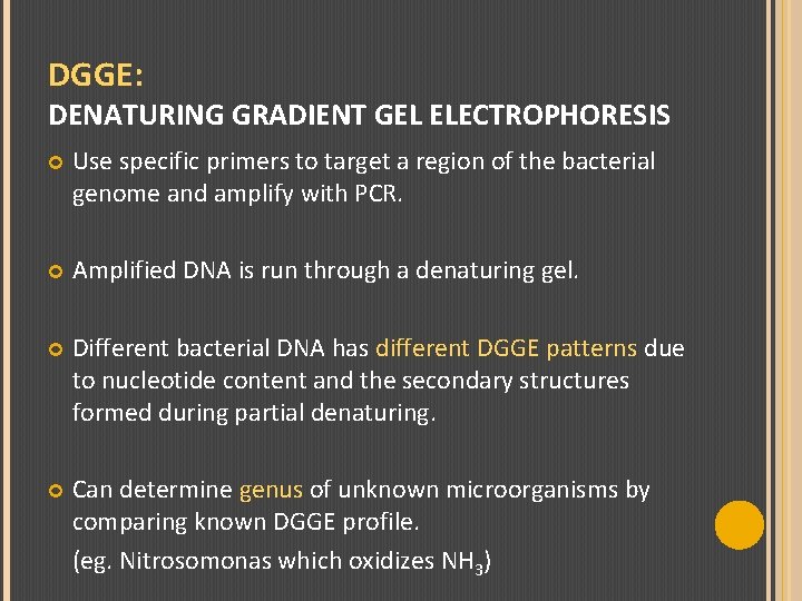DGGE: DENATURING GRADIENT GEL ELECTROPHORESIS Use specific primers to target a region of the