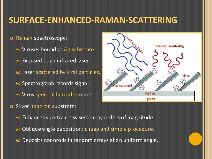 SURFACE-ENHANCED-RAMAN-SCATTERING Raman spectroscopy: Viruses bound to Ag substrate. Exposed to an infrared laser. Laser