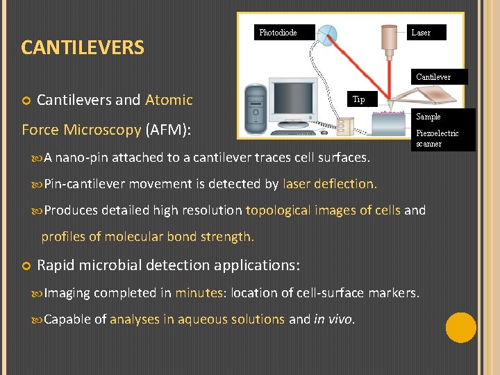 CANTILEVERS Photodiode Laser Cantilevers and Atomic Tip Force Microscopy (AFM): Sample Piezoelectric scanner A