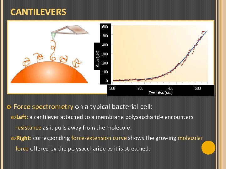 CANTILEVERS 600 500 Force (p. N) 400 300 200 100 0 200 300 400