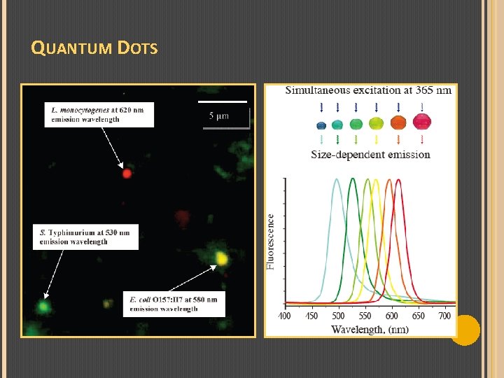 QUANTUM DOTS 
