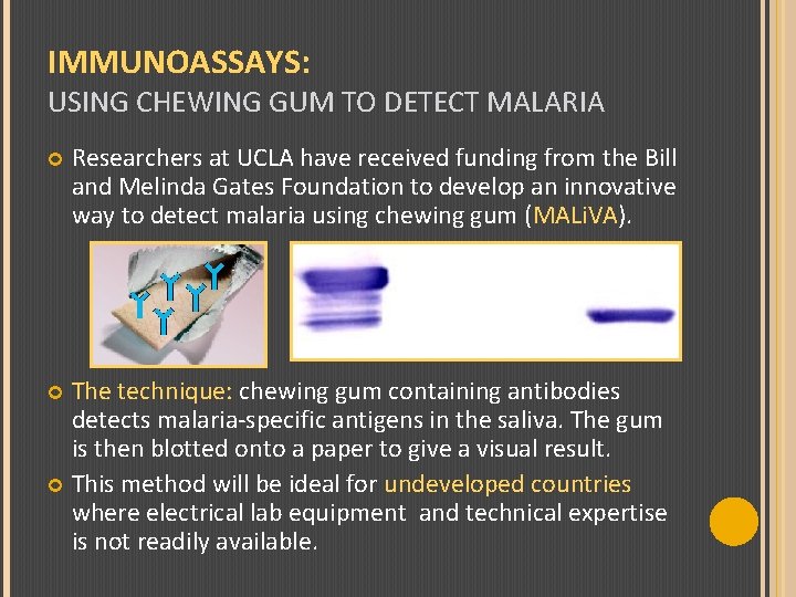 IMMUNOASSAYS: USING CHEWING GUM TO DETECT MALARIA Researchers at UCLA have received funding from