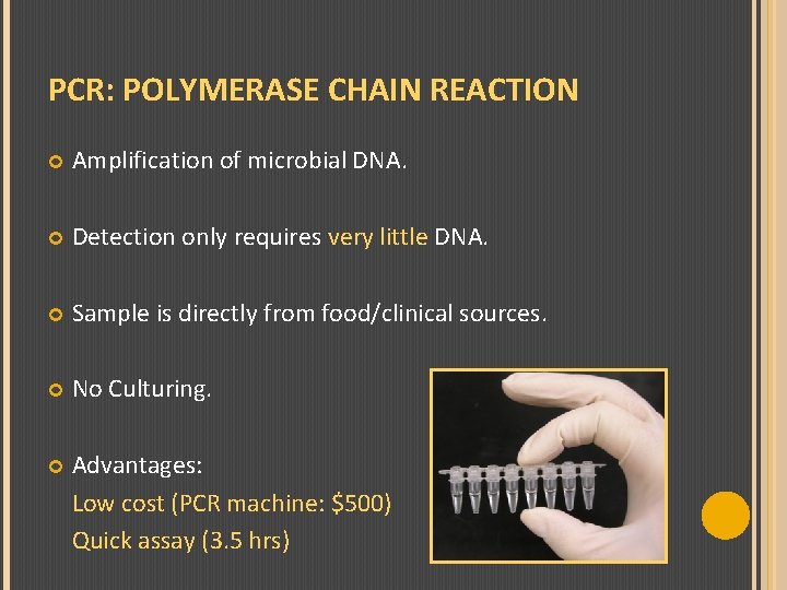 PCR: POLYMERASE CHAIN REACTION Amplification of microbial DNA. Detection only requires very little DNA.